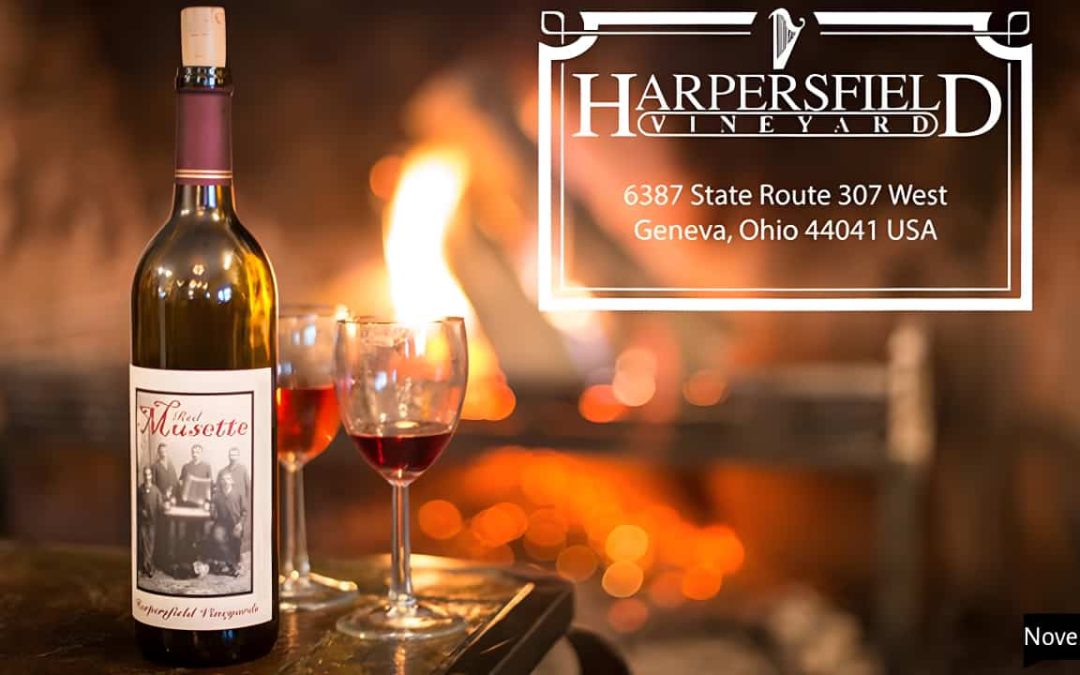 Give Thanks and Get Sipping : An Exploration Of Thanksgiving Wine