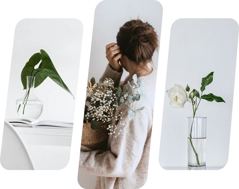 Layout-7-Image